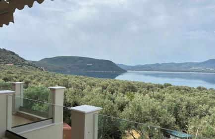 Presidential Sea View - Photo 19