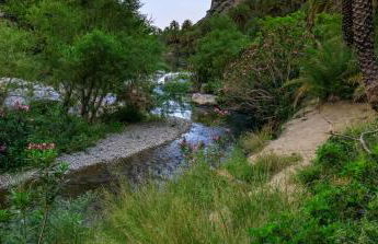 Galini Breeze - Foto 57