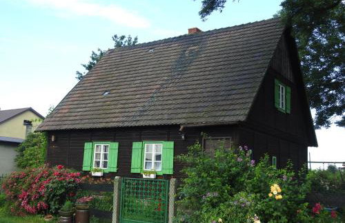 Owocowy Raj Nad Zalewem - Photo 53