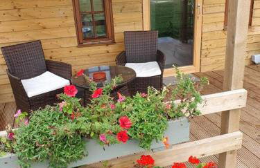 Beautiful Wooden tiny house, Glamping cabin with hot tub 2 - Foto 27