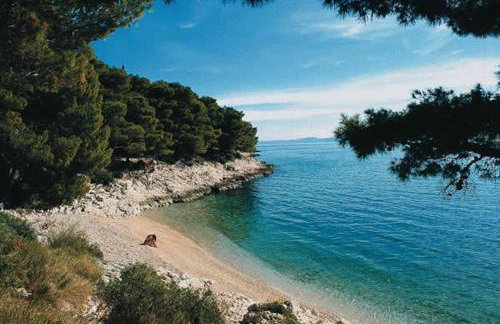 Villa Dalmatina - Photo 33