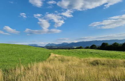 Ferienwohnung Elisabeth - Foto 23