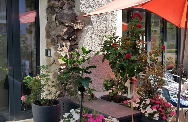 Weinberg-ferienwohnung, Oberrotweil - Foto 16