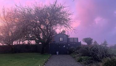 Hillview Haven - Photo 5