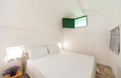 Il Trullo dell'Ulivo Bianco - Foto 12