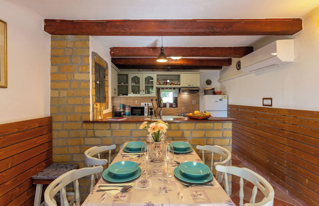 The Bird of Happiness-heaven for Dogs - Foto 20