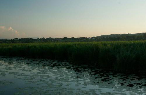 See Cafe Toni - Foto 7