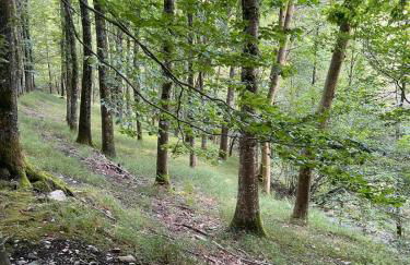 Tresanea Apartamentos - Foto 69