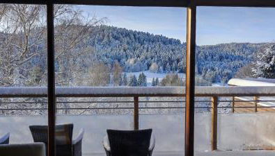 Le Cerf, chalet cocooning avec piscine et billard - Foto 3