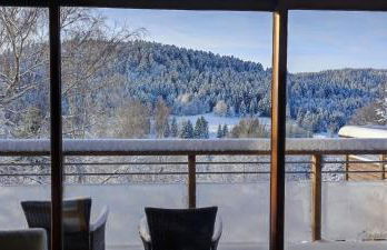 Le Cerf, chalet cocooning avec piscine et billard - Foto 3