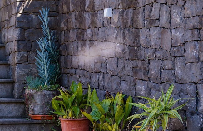 Stone House Vista II by Atlantic Holiday - Foto 58