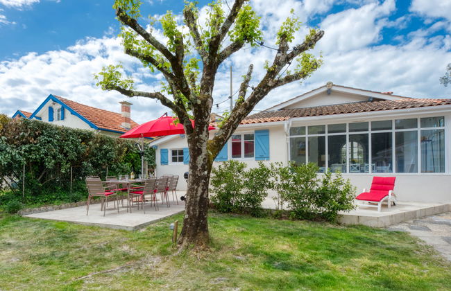 Petite Ensouleihado - Foto 19