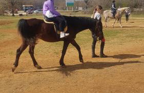 Apartmani Božić-Omišalj - Foto 4