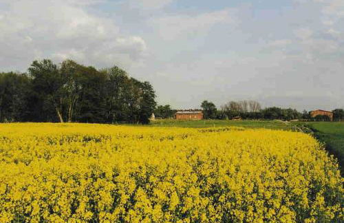 Landhaus Questin - Photo 12