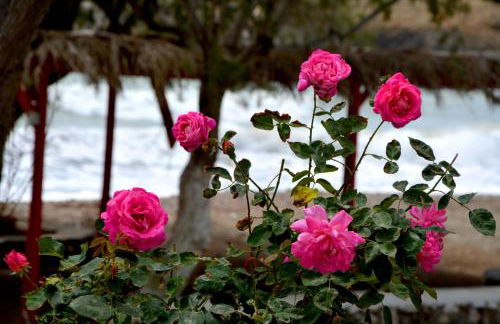 Maganas Hotel - Foto 13