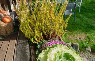 Chalet le logis des autre - Foto 7