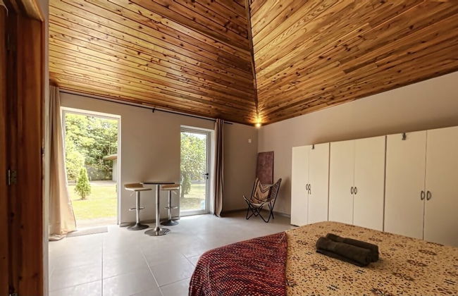 White Rabbit - Photo 2