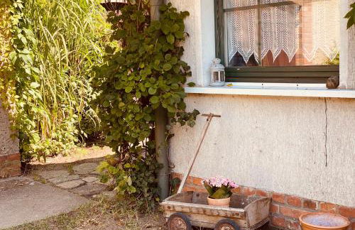 Gemütliches Haus im grünen in NFO - Foto 27