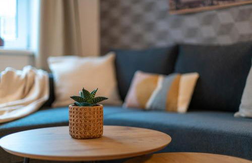 TREEHOUSE - KiDS PARADISE - CENTRAL - SSC - Foto 22