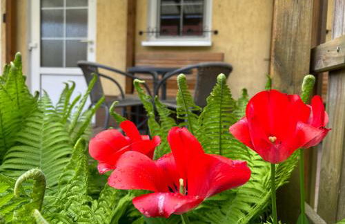 Gemütliche Wohnung Landlust in See-Nähe - Foto 13