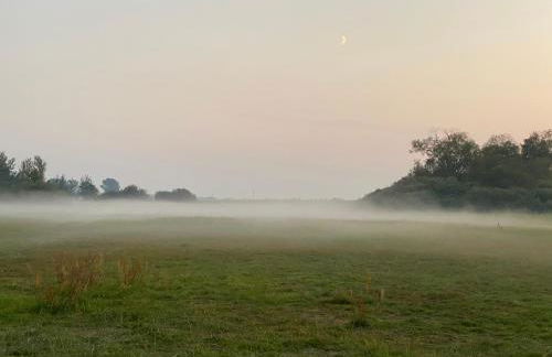 Ferienwohnung auf Rügen mit Boddenblick - Foto 42