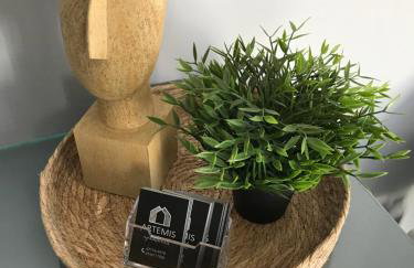 Artemis Apartments - Foto 51