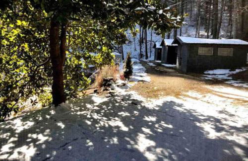 Cabin at the cove at Watauga Lake - Foto 27