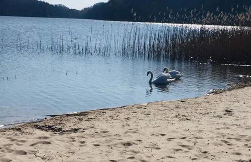 Apartament nad jeziorem WELLE - Photo 17