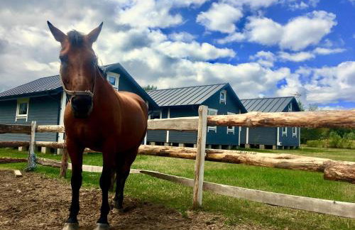 Fabryka Wspomnień - Domki letniskowe nad morzem - Foto 16