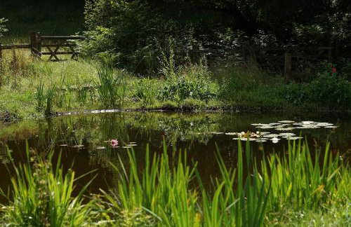 Sweet Pea Cottage, Amroth - Foto 43
