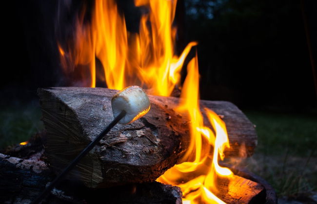 Forestside Escape Near Lake - Photo 26