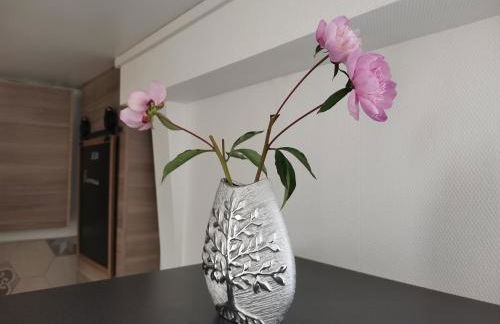 Gîte - Chambres d'Hôtes La Belle Hélène - Foto 15