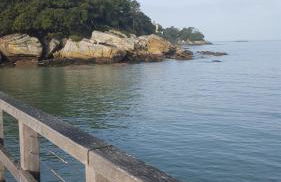 LE CLOS FLEUR de SEL - Foto 36