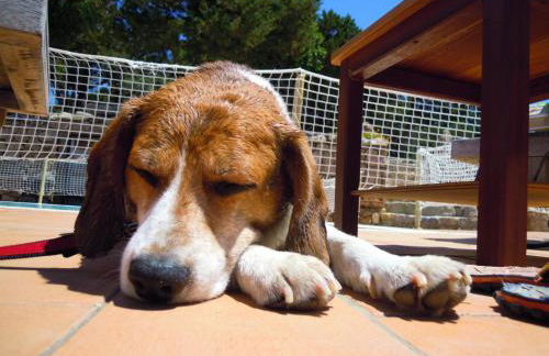 Residenza Capriccioli - Foto 63