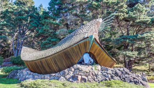 Wild Meadow - Foto 4