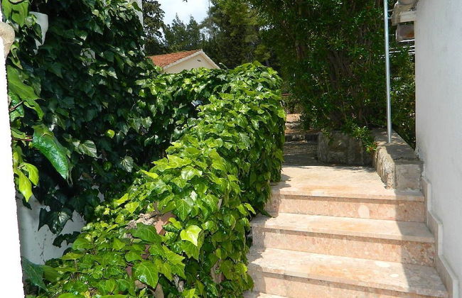 Apartments and Rooms Darinka - Foto 31