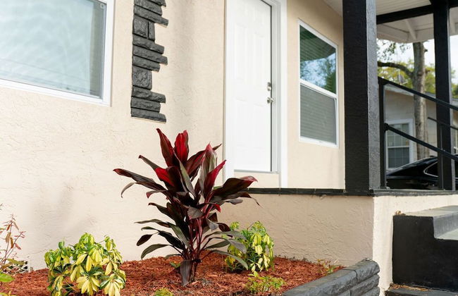 Highland Down Town Tampa - Foto 34