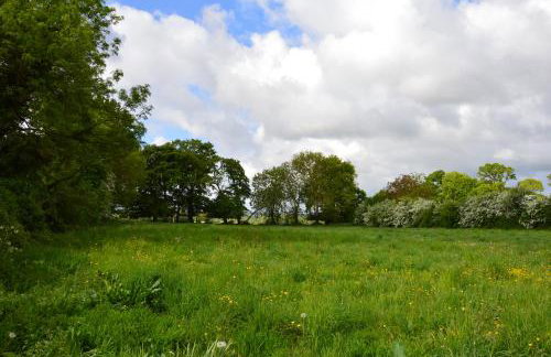 L'Orée des Prés - Gîte familial - 4 étoiles - 8 personnes - Foto 37