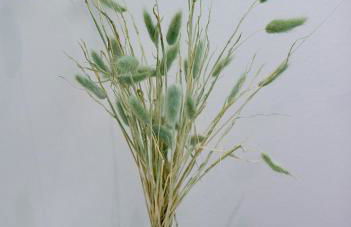 BluSunset Home Capaci - Foto 28