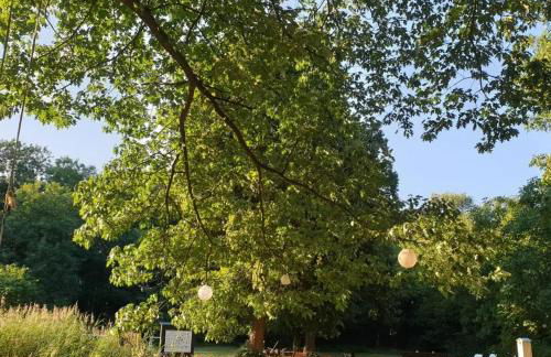 Bensdorfer Mühle - Auszeit in Brandenburg - Foto 10