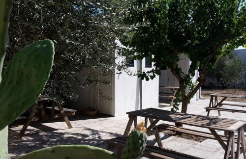 Agriturismo Vignavecchia - Foto 137