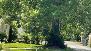 Pension Gut Runge - Foto 2