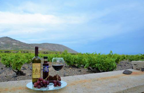 Vineyards Hill Villa - Foto 21