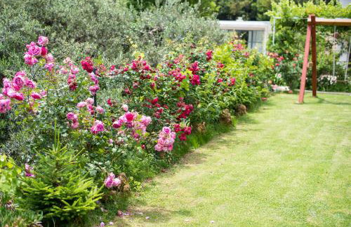 Apartmani Tabain I - Foto 31