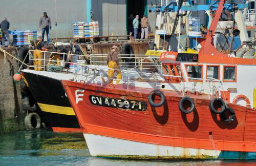 LocaLise - M3A La Maison du pêcheur au Guilvinec - Chambres vue mer - A 20m de la mer située à la pointe de Men Meur - Tout à pied, plage, port, centre, commerces, marché - Wifi inclus - Linge de lit inclus - Jardin clos - En option , ménage et serviettes - Foto 28