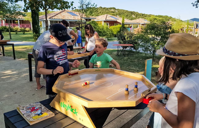 Domaine de Sévenier Micocoulier - Foto 17