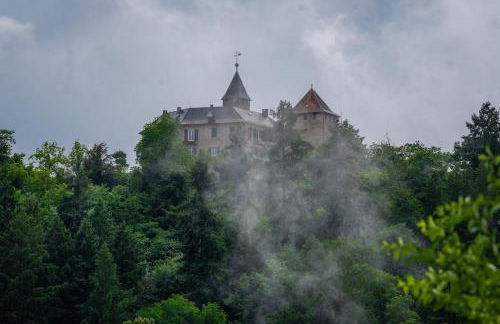 Schwarzwaldpanorama Schlossblick - Foto 15