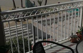 Apartamento en Primera Linea - Photo 17