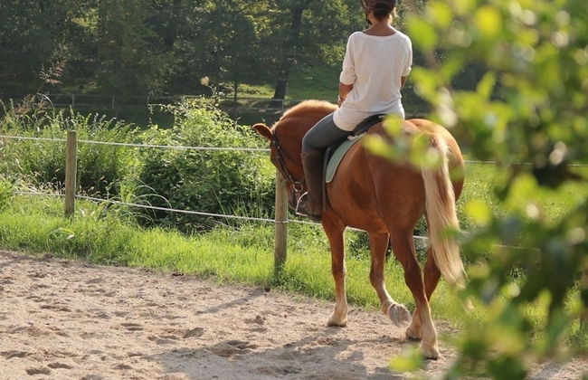 Agriturismo Tenuta Le Sorgive - Foto 29