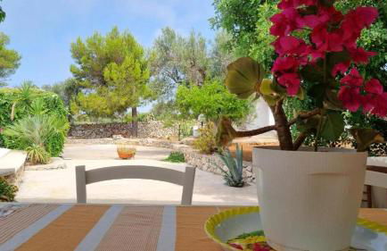 Al Marchello offline - Foto 23